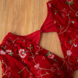 Red Velvet V-Neck  Blouse
